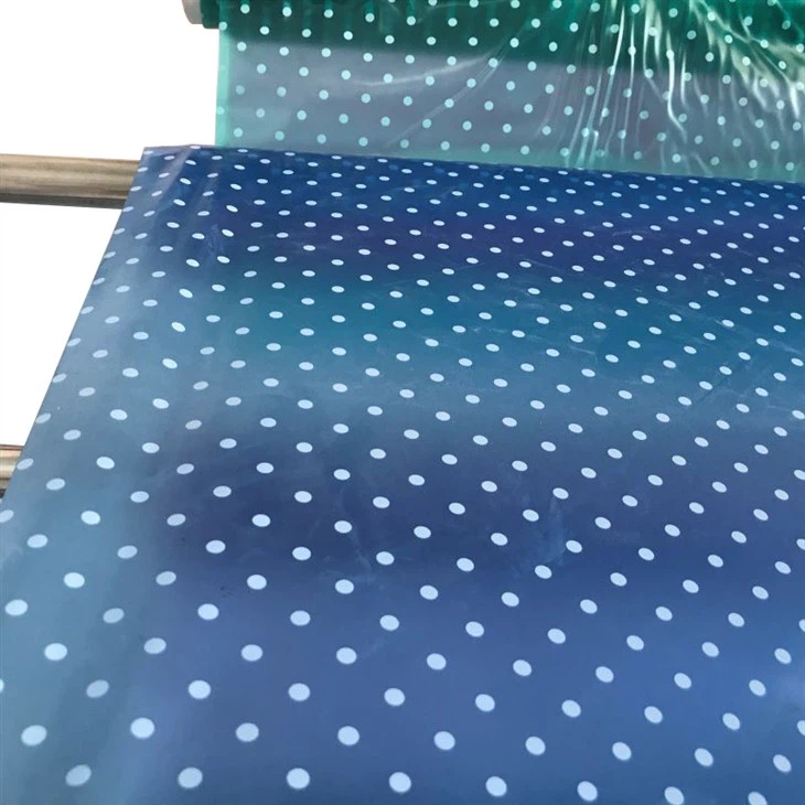 Raincoat Printed Film suppliers