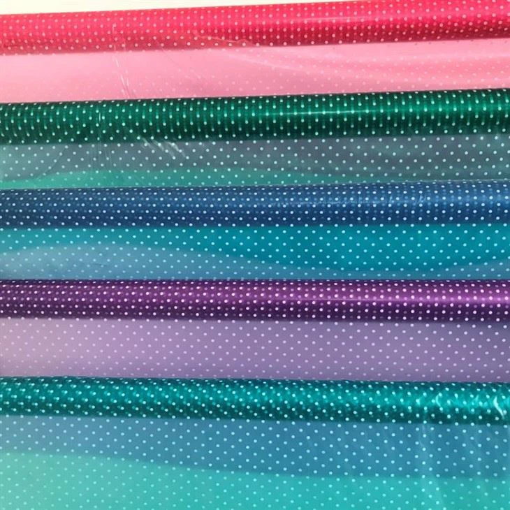 Raincoat Printed Film best